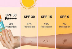 Inilah 5 Sunscreen Terbaik Rekomendasi 2024, Cari Tau Yuk!