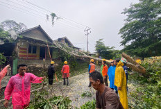 PLN Bergerak Cepat Pulihkan Jaringan Listrik Pasca Bencana Alam di Baturaja