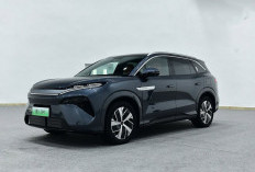 BYD Tang L EV dan PHEV SUV Dibanderol Mulai Dari Rp534 Juta