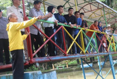 Ribang Kemambang dan Lahat Masa Depan: Saat Alam, Estetika, dan Ekonomi Menyatu