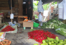 Harga Cabai Turun di Pertengahan Ramadhan