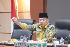 Kopi dan Wisata, Strategi Lahat Gerakkan Ekonomi Terpadu