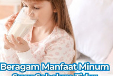 Wow, Ternyata Minum Susu Sebelum Tidur Banyak Sekali Manfaatnya