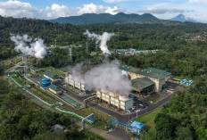 PLN Gandeng PGE Bentuk Konsorsium Kembangkan Pembangkit Listrik Panas Bumi