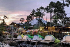 Liburan Asyik di Dusun Camp