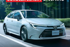 Toyota Ucapkan Selamat Tinggal Corlla Mesin Bensin di Jepang, Varian Corolla di Jual di Negeri Asalnya Tersedi