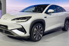 BYD Indonesia Catat Kinerja Penjualan Positif Pada Awal 2025