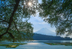 Danau Menjer Wonosobo, Menawarkan Pemandangan Yang Menakjubkan dan Udara Yang Sejuk