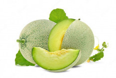7 Keunikan Buah Melon Yang Jarang Diketahui