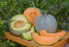 6 Tanaman Obat Buah Ampuh Menurunkan Asam Lambung, Cocok Masuk Daftar Menu Diet, Nomor 2 Ada Buah Melon
