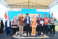 Pentingnya Kolaborasi untuk Majukan 800 Ribu UMKM Sumsel
