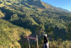 Bagi Kalian yang Mempunyai Hobi Mendaki, Barikut Tips Mendaki Gunung Agar Fisik Tetap Terjaga!