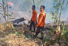 Tiga Hektare Lahan Terbakar