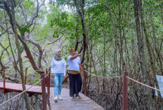 Ekowisata Hutan Mangrove Purba Jerowaru Kerek Ekonomi Masyarakat