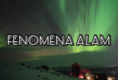Mau Tau Tempat Terbaik Melihat Fenomena Alam Aurora, Penasaran Yuk Intip