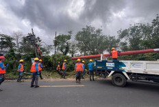 Waspada Cuaca Badai Bengkulu: PLN Gerak Cepat Pulihkan Listrik