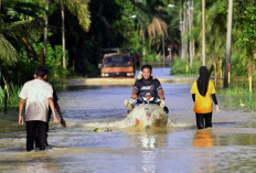 Deretan Kota Rawan Banjir di Indonesia. Yuk, Bahas!