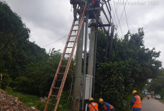 Tak Hanya Rugikan PLN, Pencurian Kabel Listrik Berimbas pada Kontinuitas Kelistrikan Masyarakat