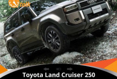 Toyota Land Cruiser 250 di Luncurkan, Cek Yuk