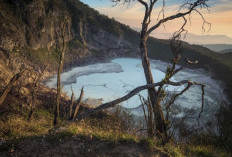 Miliki Keindahan Alam Yang Memukau, Ini Dia Sejarah Terbentuknya Kawah Putih Ciwidey