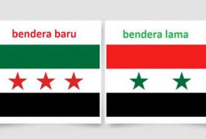 Mendadak Dapil