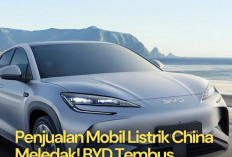 BYD Mencetak Rekor dan Berhasil Mendominasi Padar Kendaraan Listrik Global