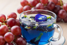 Tanaman Obat Bunga Telang dan Anggur, Warna Cantik Kaya Antioksidan untuk Kesehatan Mata dan Otak 
