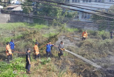 Jaga Instalasi Listrik Demi Keselamatan Bersama, PLN Ajak Masyarakat Waspada Aktivitas Berbahaya
