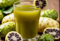 5 Keajaiban Jus Mengkudu yang Jarang Diketahui, Rahasia Alami untuk Tubuh yang Lebih Sehat