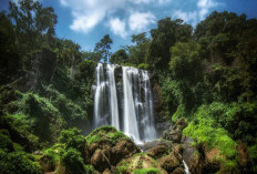 Air Terjun Sewu Ciptakan Pemandangan Alam Yang Luar Biasa