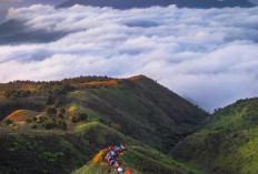 Gunung Prau Tempat Favorit Bagi Para Pendaki Pemula