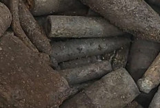 Logam Berkarat Diduga Peluru Ditemukan di Sungai Lematang Lahat