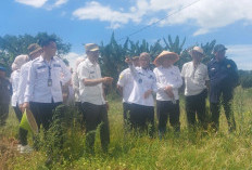 Pembangunan Empat Jaringan Irigasi, Wabup Lahat Widia : DED-nya Mulai Tahun Ini 