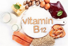 Simak Gejala Yang Menyebabkan Tubuh Kekurangan Vitamin B12?
