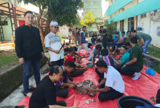 Momen Idul Adha 1447 H, PLN UP3 Lahat Tebar Berkah 630 Paket Daging Kurban