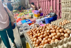 Harga Telur di Pasar Lematang Lahat Naik Jadi Rp 54 Ribu/Karpet