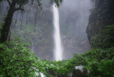 Dikeliling Hutan, Curug Cipendok Cocok Untuk Menikmati Suasana Alam