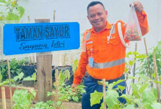 Dari Pos Jaga ke Kebun Mini : Sentuhan Hijau Mas Timbul di Pelintasan Kereta Empat Lawang