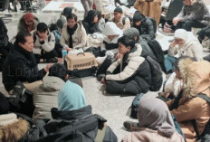 Banyak Pilih Luar Negeri! Disnakertrans Catat 186 TKI Berasal dari Lahat, Inilah Negaranya