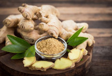 Rahasia Diet Alami dengan Jahe! Tanaman Obat Peningkat Metabolisme dan Kecantikan Kulit