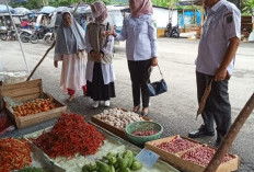  INFO Pangan : Cek Yuk Harga Bahan Pokok di Pasar Pulau Emas
