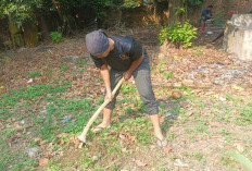Sulap Lahan Kosong Jadi Kebun dan Kolam Lele, Warga Lahat Dukung Swasembada Pangan