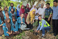 Kolaborasi PAMA dan SMK Negeri 1 Lahat, Tanam 100 Pohon Buah untuk Peringati Hari Lingkungan Hidup Sedunia