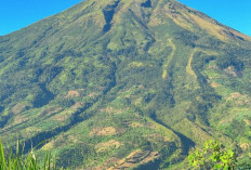 Bukit Sikendil, Menawarkan Panorama Lanskap Perbukitan Yang Hijau