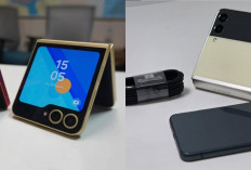 Galaxy Z Flip 4 vs Galaxy Z Flip 7: Peningkatan Semua Aspek Saatnya Upgrade