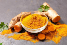 Simak! Manfaat Tanaman Obat Temulawak Banyak Manfaat Kesehatan