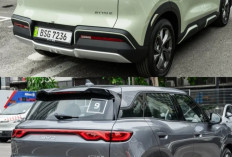 BYD Atto 2 Jadi Perbincangan Banyak Media, Sudah Masuk Dalam Data NJKB Samsat Jakarta