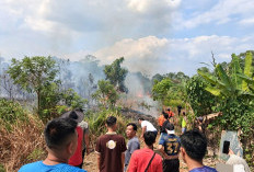 Tiga Hektare Lahan Terbakar di Desa Mekar Jaya, BPBD dan Damkar Bergerak Cepat Padamkan Api