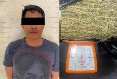 Ganja 980 Gram Disita