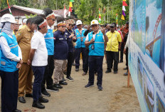 Program Lisdes Kementerian ESDM Percepat Pemerataan Akses Listrik PLN di Papua